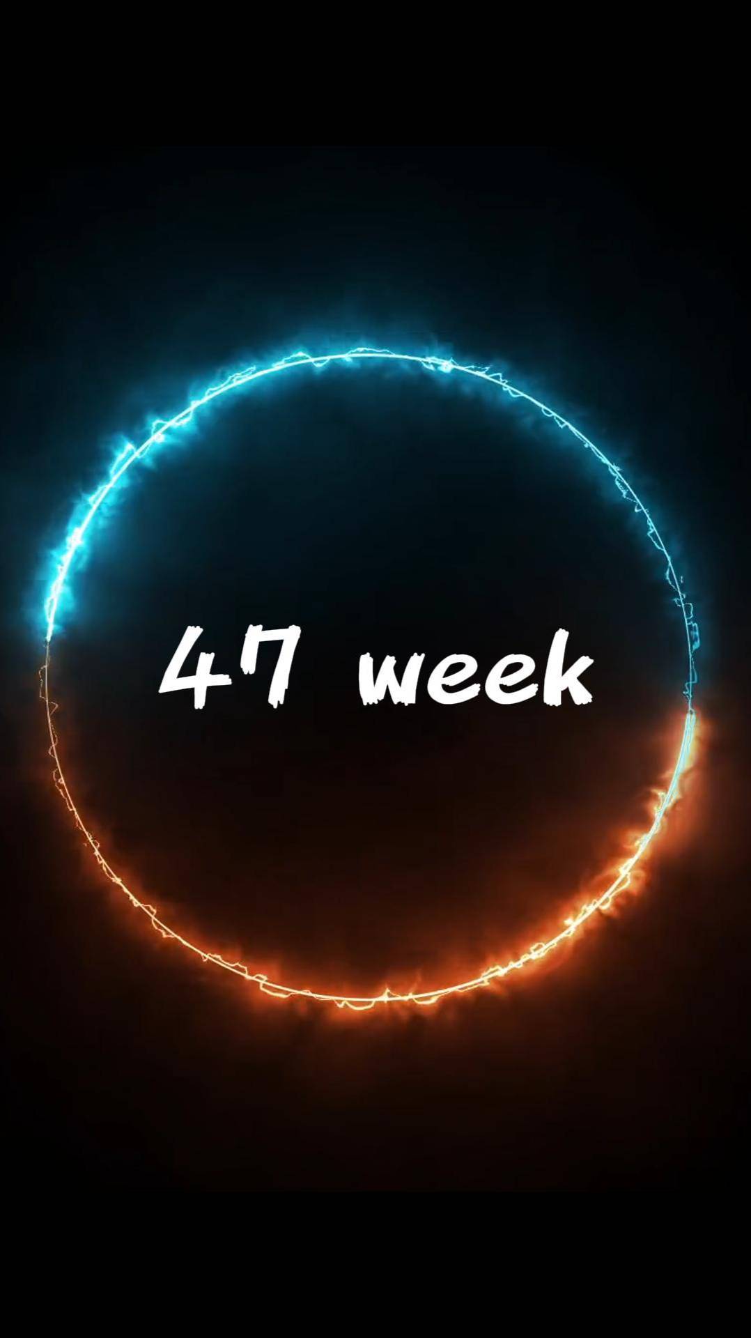 47 week