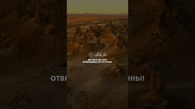 Quran