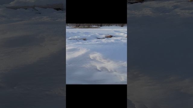 Ремонт избы после росомахи 04.03.2023