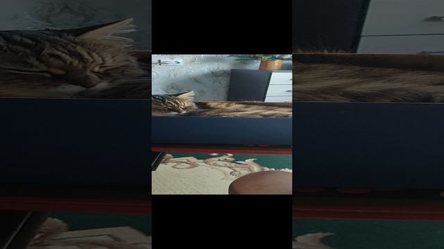 1000048862.mp4