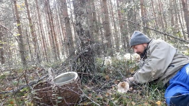 Еду с Соседом на Джипе в Сосновый Бор за Грибами - 2021