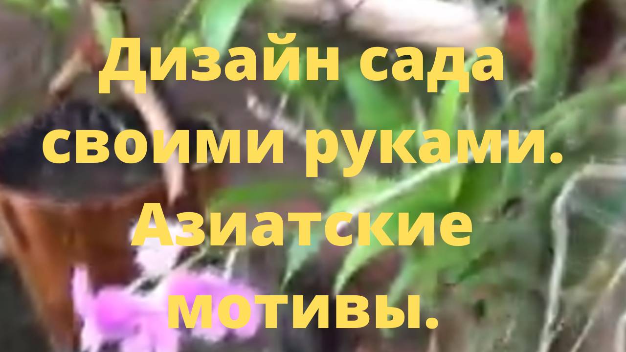 Дизайн сада своими руками. Азиатские мотивы.