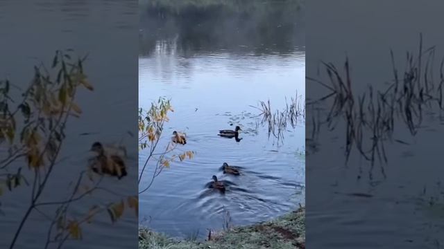 Рыбалка. У кого-то лёд уже. А у кого-то и лодочки.