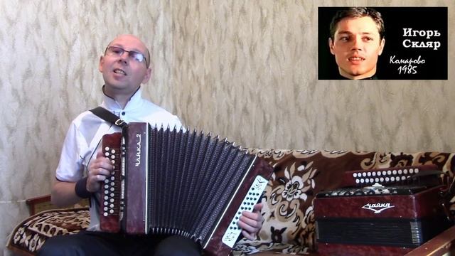 "Комарово".(Кавер-версия).Гармонь.
