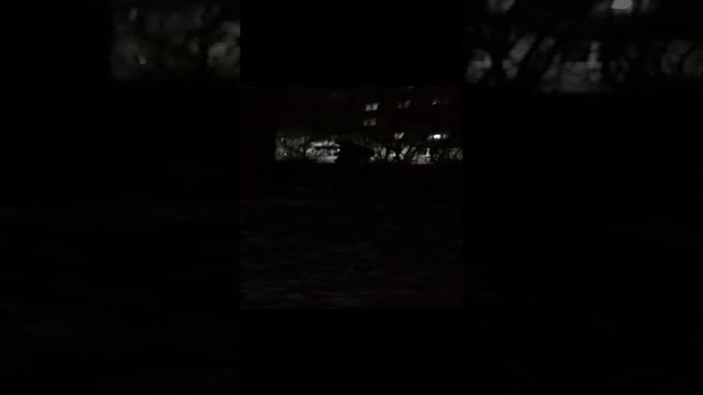 VID_20241119_180018.mp4