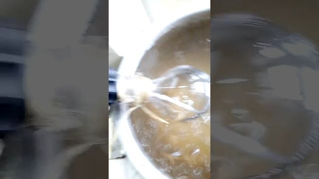 Hexane extraction from MUCUNA oil after fat analysis