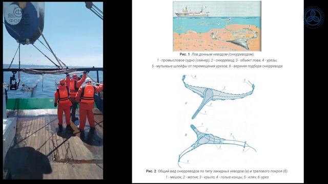 Пр.04130 - малый рыболовный сейнер (проект Форсс Технологии)