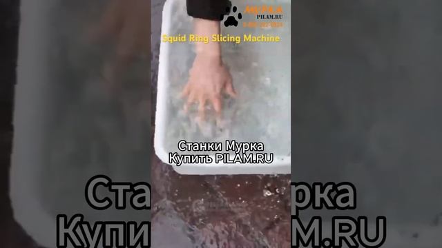 Мурка Станок для нарезки колец кальмара FGB-118 купить на pilam.ru