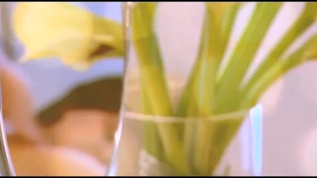 Гостиница Бристоль Париж hotel Le Bristol Paris. Туристическое агентство Меркурий.