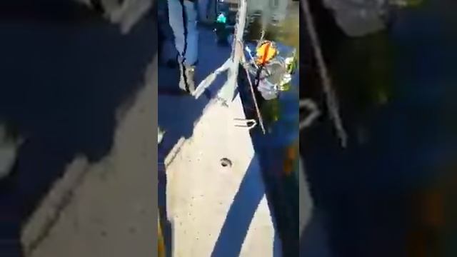 Водолаз погружается для начала работы