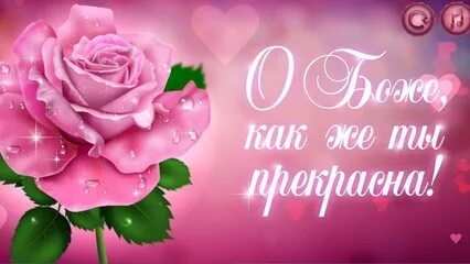 Комплемент женщине!