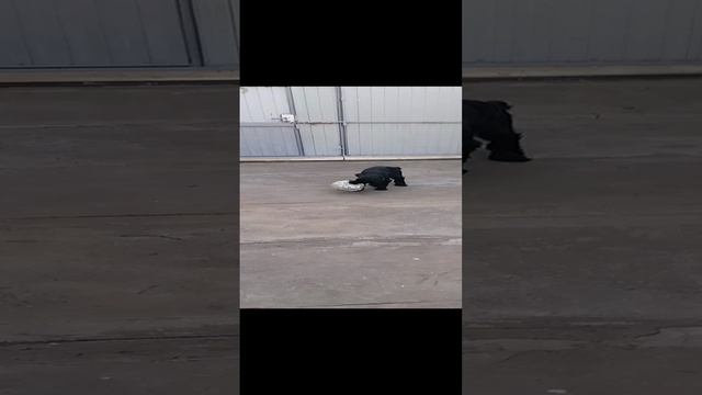 1000000275.mp4