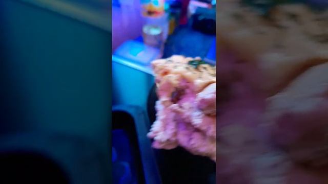 Маргарита приготовила Жульен с курицей и грибами