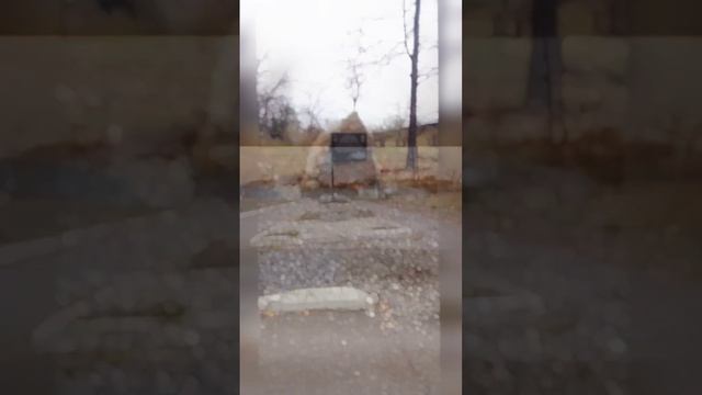 1000004579.mp4