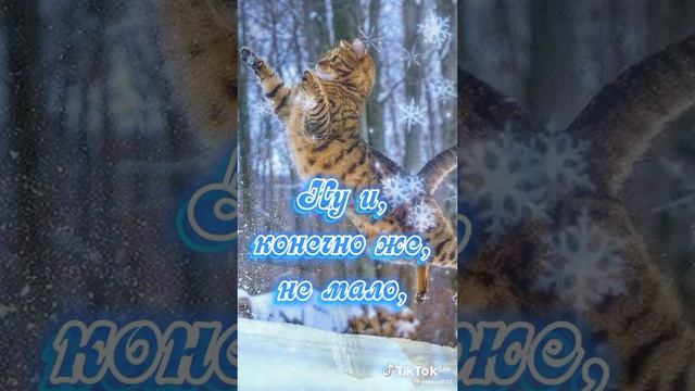 музыкальная открытка