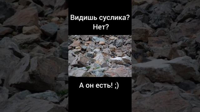 Тест на внимательность