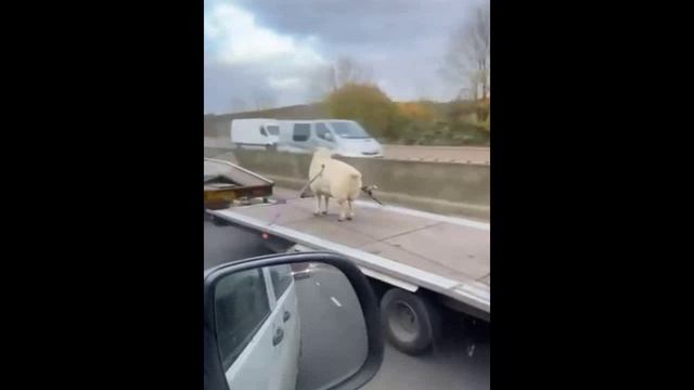 Куда это бербок с очередным визитом.?