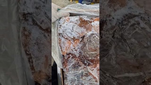 Натуральное питание для животных