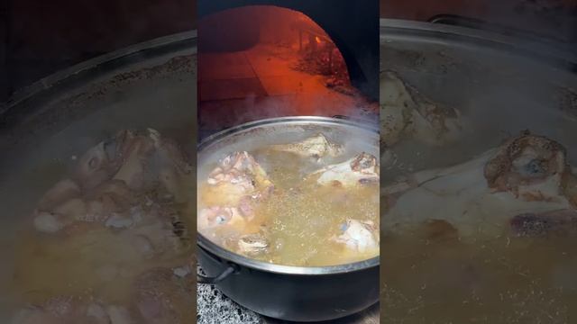 1000006374.mp4