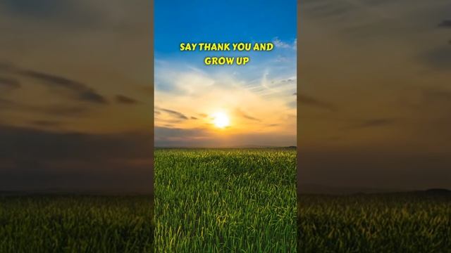 Say thank and grow up ⭐ Motivational Quotes ⭐#shorts