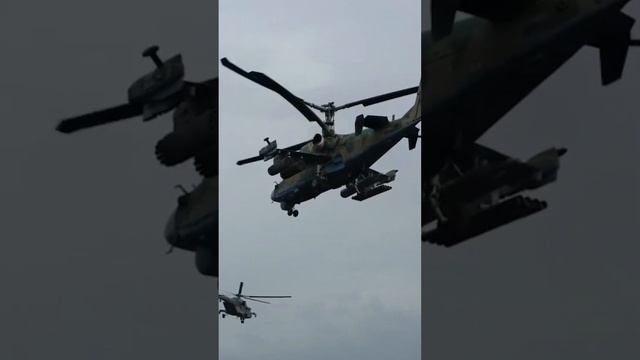 Аллигаторы уходят на задание
