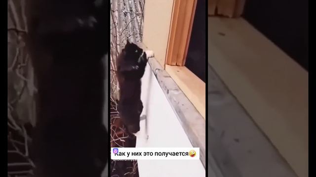 1000186197.mp4