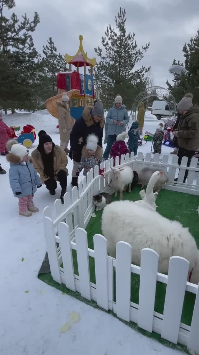 Зимние развлечения