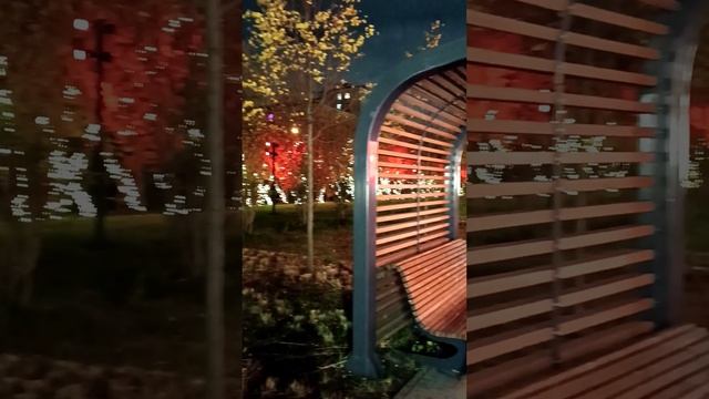 Парк имени Рихарда Зорге. Ночная Москва 25.10.2024 (21:24) (м. Полежаевская. м. Зорге). Ул. Зорге.