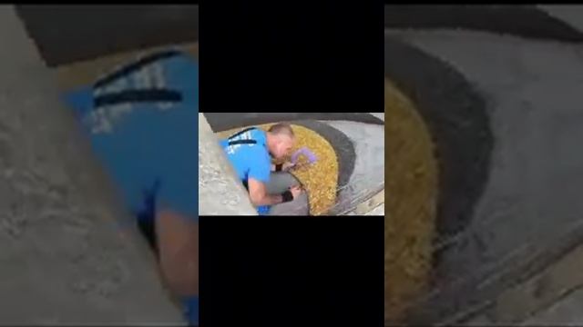 18 января 2024 г. Королевская лилия из камня и полиуретана.