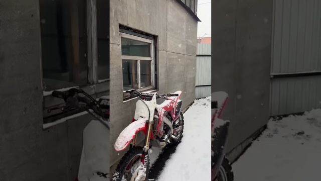 scene_output.mp4