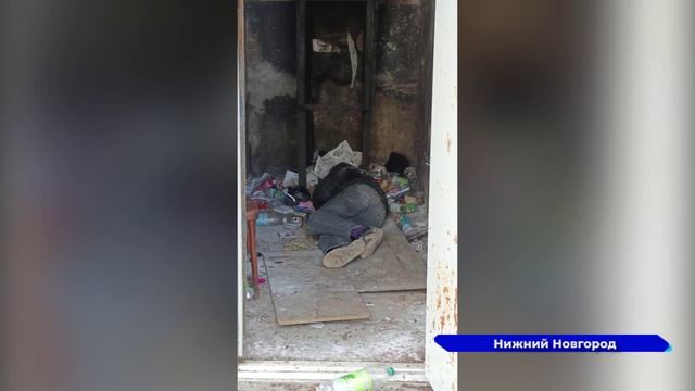 Жилой дом на площади Комсомольской Ленинского района атаковали полчища тараканов