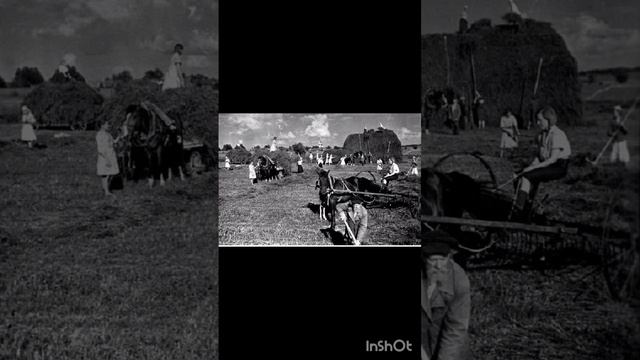 Видео про прадедушку-героя