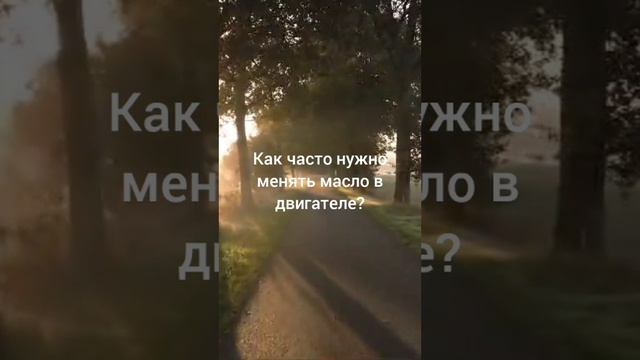 Как часто нужно менять масло
