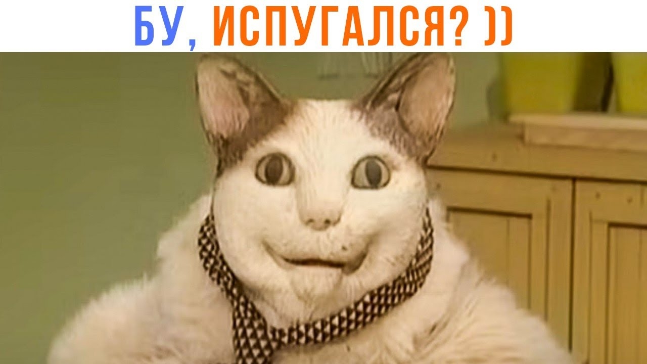 📹 БУ, ИСПУГАЛСЯ? НЕ БОЙСЯ, Я ДРУГ ))) | Приколы | Мемозг 1520 
👤 #Alexey_Sova