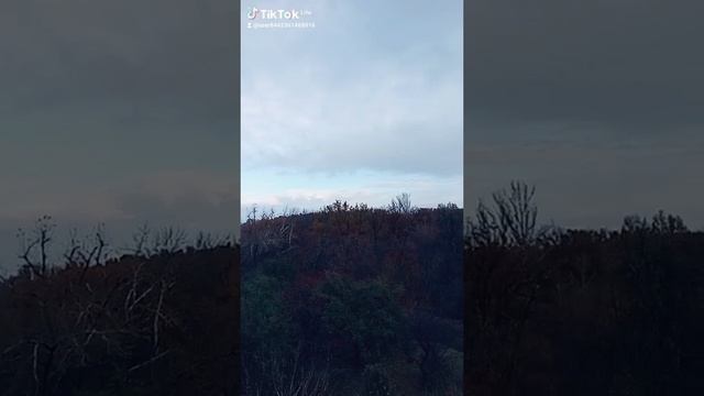 1000000425.mp4