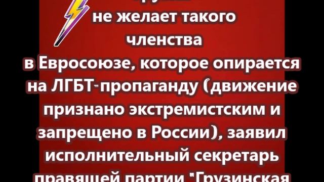 Грузия не желает такого членства в Евросоюзе, которое опирается на ЛГБТ-пропаганду