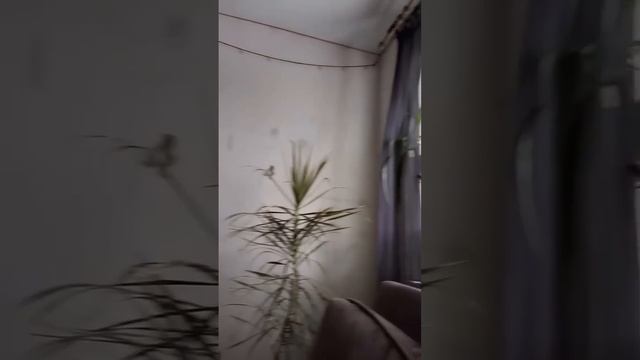 Добрая утра❤️ #каменскуральский #shortvideo #топ
