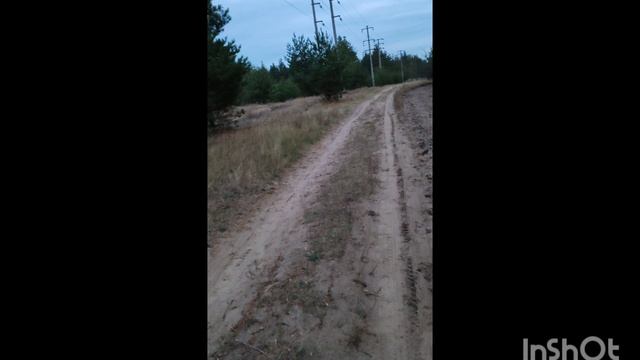 Симптомы это формы неприятия себя