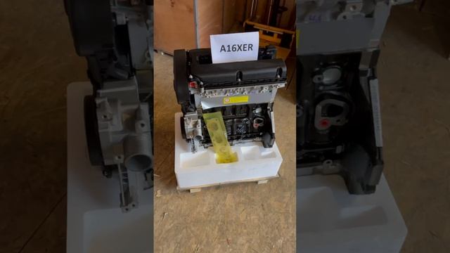 a16xer (2)fk