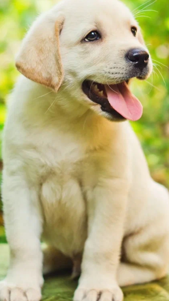 каждый день такое