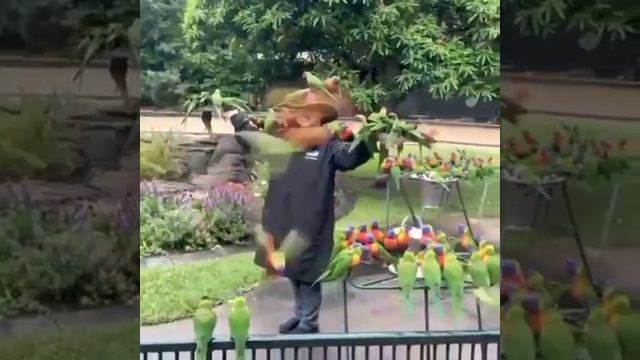 1000085477.mp4