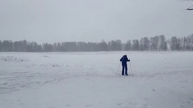 Зимнее настроение. Нина Зорихина.Стихи _авторское исполнение_