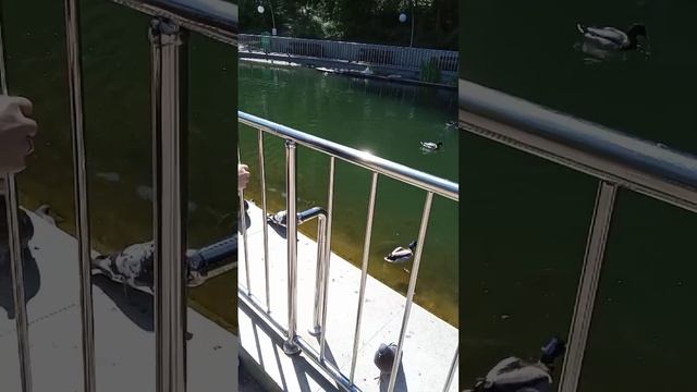 1000000511.mp4