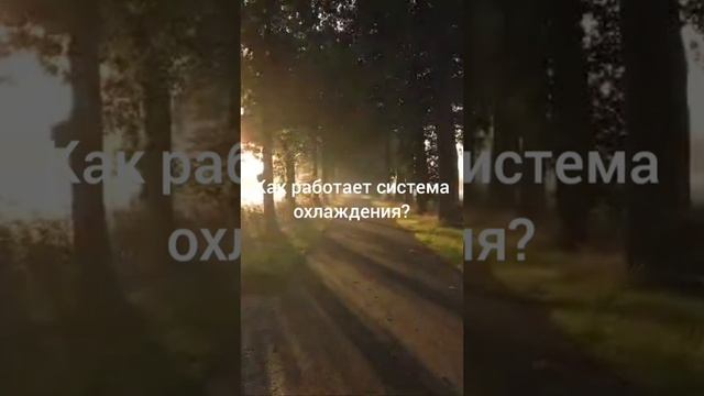 Как работает система охлождения