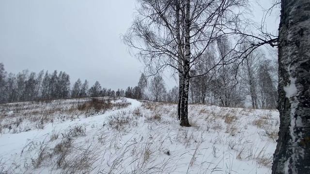 Холодный романс, сл. В.Шентала,муз. и исп.ИИ SUNO, запр. С. Морозов