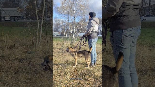 Процесс съемки