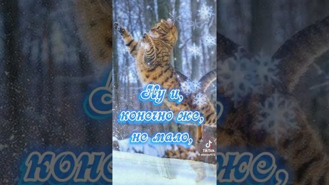 VID-20241115-WA0000.mp4