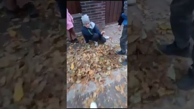 VID-20241102-WA0049.mp4