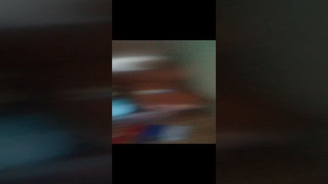 VID_20241119_134209.mp4