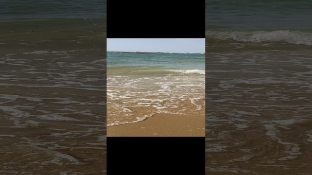 1000038092.mp4